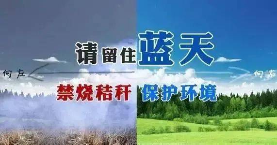 公益生活 第733页