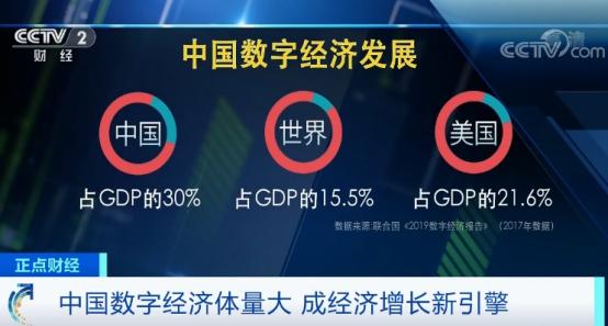 金砖国家含金量深度解析，数字背后的实地应用验证数据