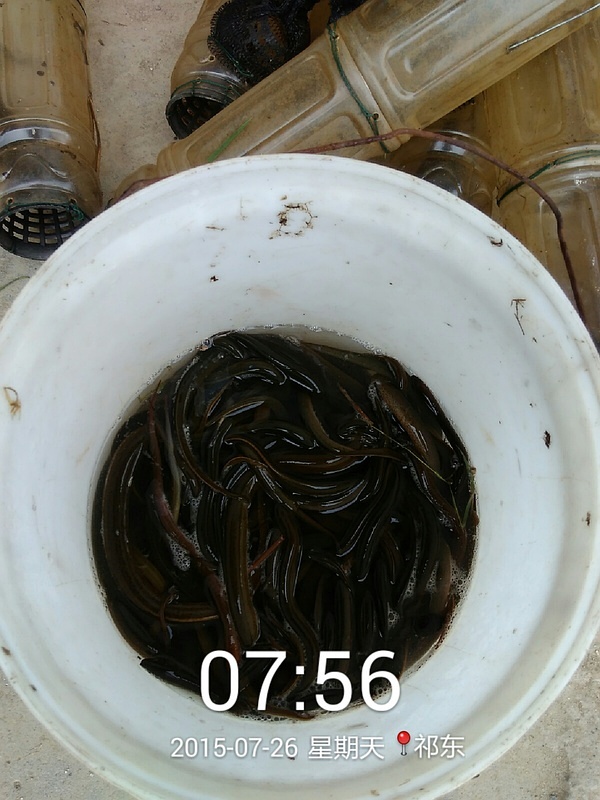 回眸最初 第100页