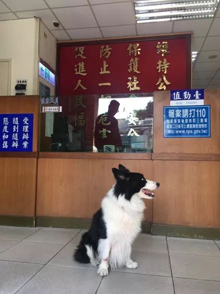 江南烟雨断桥殇 第95页
