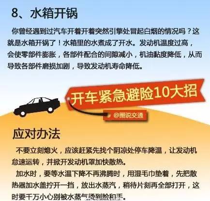 花开无言 第84页