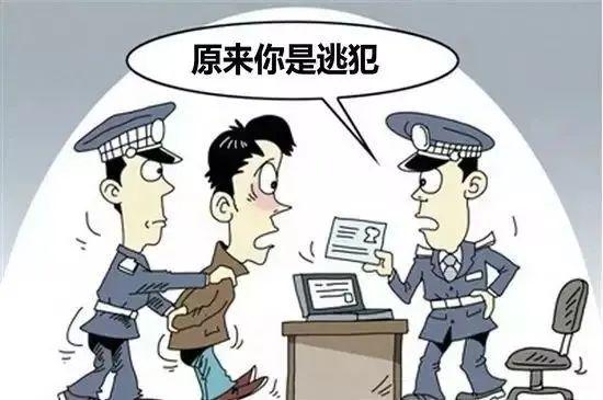 admin 第91页