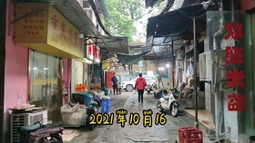 独家揭秘，台风尾随下的隐藏小巷奇趣之旅——探访特色小店风味藏舍的最新动态（台风最新消息14号）