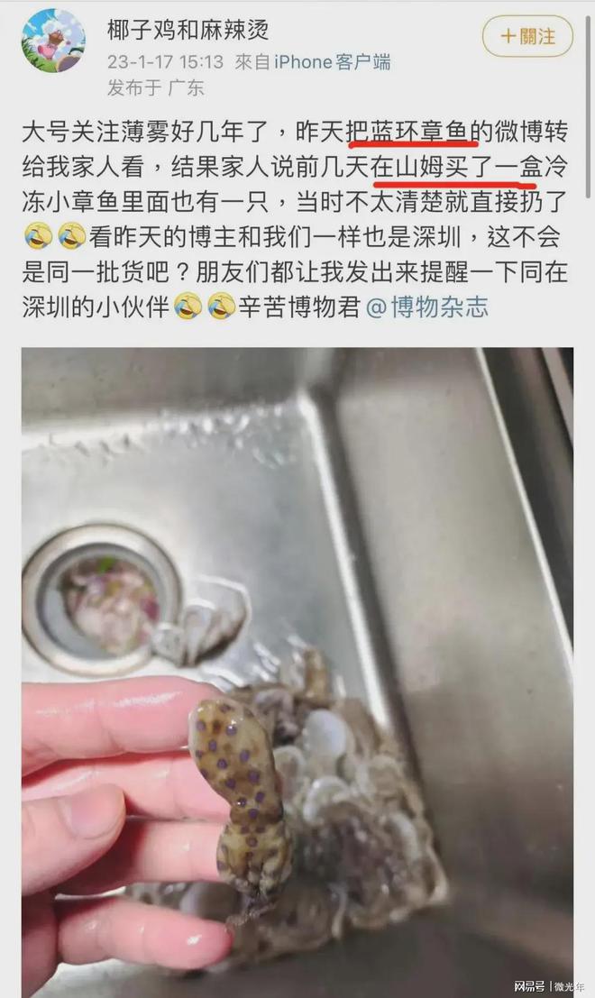 雅人深致 第3页