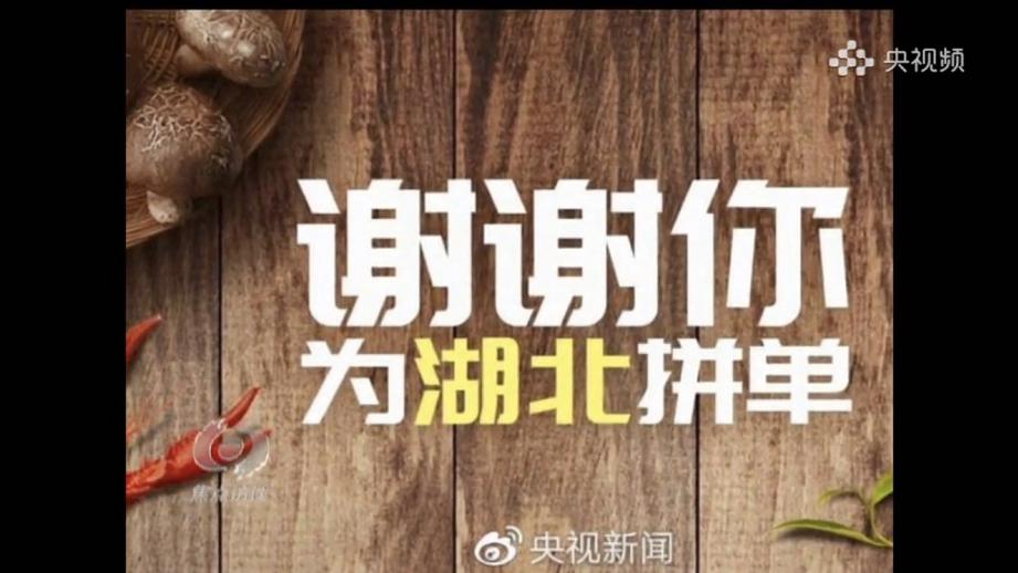 候鸟南飞 第2页