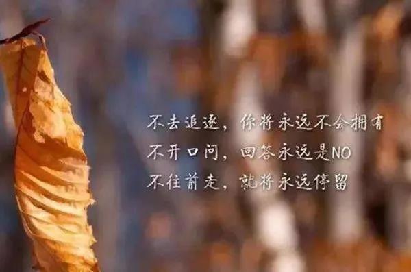 2025年2月27日 第9页