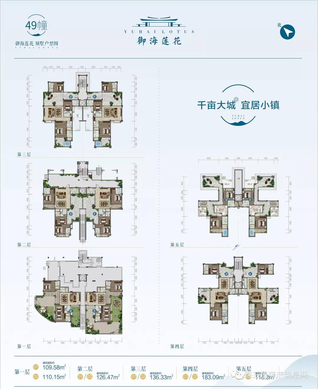 今日爆品独家内幕揭秘，最新消息抢先看！