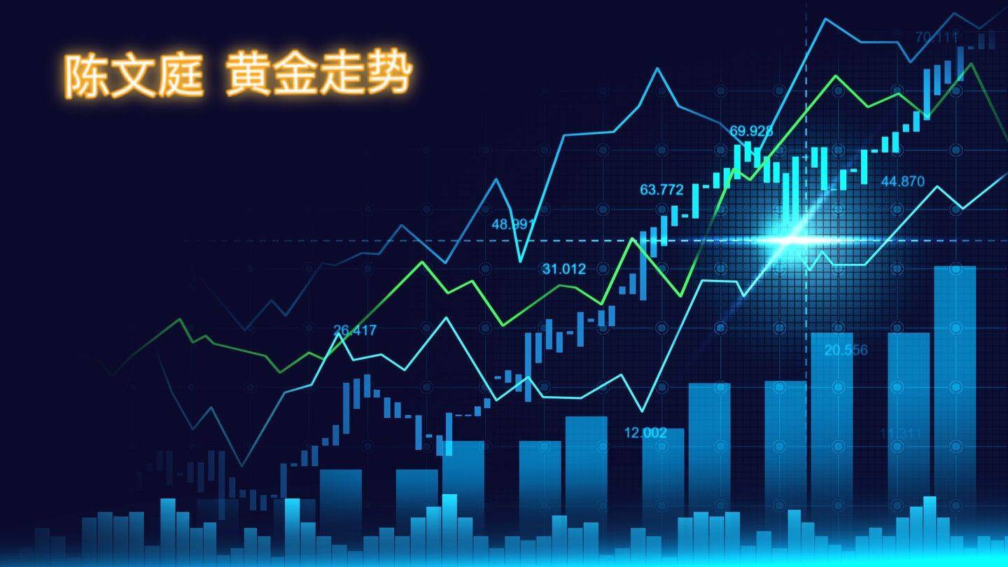 基金市场最新视频解析，今日走势分析及投资建议速递